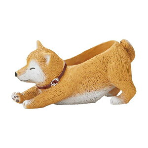 Aؔ  FV/GeBV|bg/5E4361y01z K[fjOE|pi t[|bg W