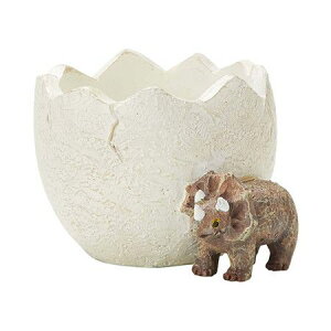 Aؔ  FV/gPgvXEt|bg/5E4364y01z K[fjOE|pi t[|bg W