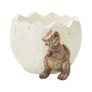 Aؔ  FV/eBm][Et|bg/5E4365y01z K[fjOE|pi t[|bg W