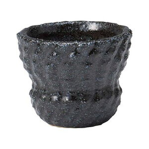 �A�ؔ� ������� �F�V/�g���e�B�A�|�b�gSB/TM956�y01�z �K�[�f�j���O�E���|�p�i �t�����[�|�b�g ����E�Z���~�b�N��