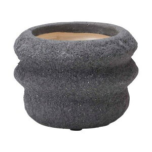 �A�ؔ� ������� �F�V/�A�m�[�|�b�gSB/TQ665�y01�z �K�[�f�j���O�E���|�p�i �t�����[�|�b�g ����E�Z���~�b�N��