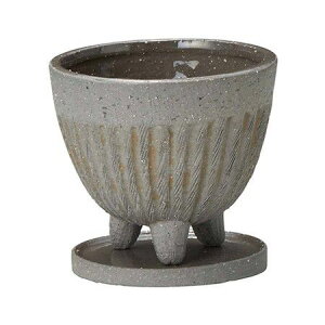 Aؔ  FV/G[X^hSGYiMtj/TEX508y01z[4] K[fjOE|pi t[|bg EZ~bN