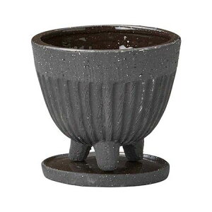 Aؔ  FV/G[X^hSBiMtj/TEX510y01z[4] K[fjOE|pi t[|bg EZ~bN