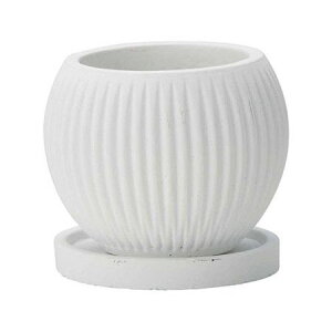 Aؔ  FV/OF{ESWiMtj/TD803y01z K[fjOE|pi t[|bg Zg