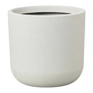 Aؔ  FV/T[uT[NMW/AK379y01z K[fjOE|pi t[|bg 