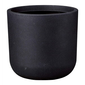 Aؔ  FV/T[uT[NMB/AK385y01z K[fjOE|pi t[|bg 