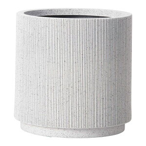 Aؔ  FV/[jo[eBJX^hSW/AKS106y01z K[fjOE|pi t[|bg 