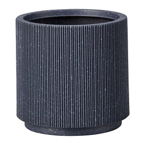 Aؔ  FV/[jo[eBJX^hLB/AKS111y01z K[fjOE|pi t[|bg 