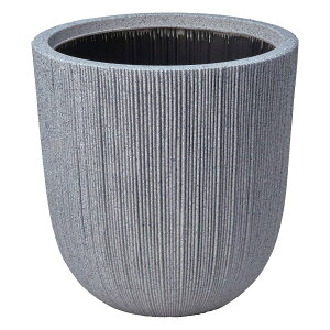 Aؔ  FV/[jo[eBJT[NSSGY/AKS104y01z K[fjOE|pi t[|bg 