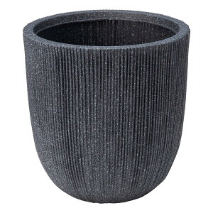 Aؔ  FV/[jo[eBJT[NSSB/AKS105y01z K[fjOE|pi t[|bg 