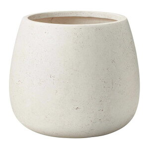 Aؔ  FV/sG[EhMW/G1001y01z K[fjOE|pi t[|bg OXt@Co[