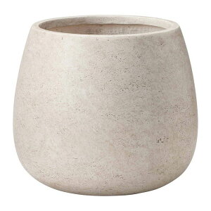 Aؔ  FV/sG[EhLBE/G1005y01z K[fjOE|pi t[|bg OXt@Co[