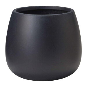 Aؔ  FV/sG[EhMB/G1007y01z K[fjOE|pi t[|bg OXt@Co[