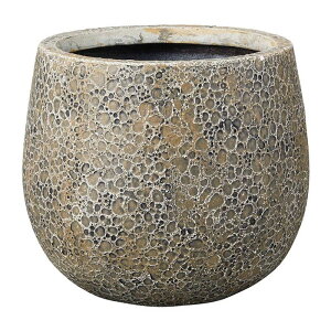 Aؔ  FV/Xv~{EMBE/G501y01z K[fjOE|pi t[|bg OXt@Co[