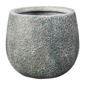 Aؔ  FV/Xv~{ESGR/G502y01z K[fjOE|pi t[|bg OXt@Co[