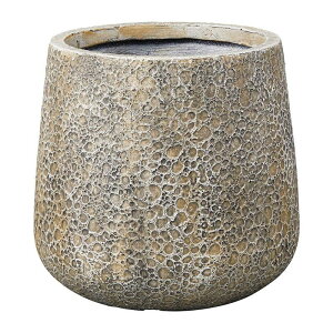 Aؔ  FV/Xv~EhSBE/G504y01z K[fjOE|pi t[|bg OXt@Co[