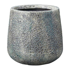 FV/Xv~EhSGR/G506y01z K[fjOE|pi AؔEt[|bg OXt@Co[