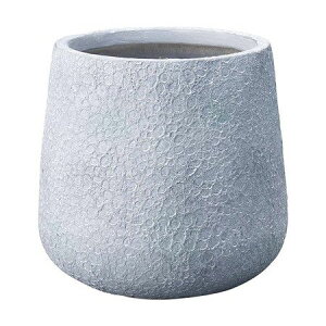 Aؔ  FV/Xv~EhSW/G510y01z K[fjOE|pi t[|bg OXt@Co[