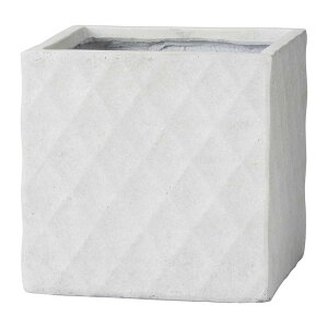 Aؔ  FV/gAOXNGASW/GF5189y01z K[fjOE|pi t[|bg OXt@Co[