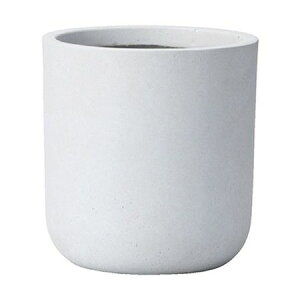 Aؔ  FV/Ju[YX^hSLGY/GF5217y01z K[fjOE|pi t[|bg OXt@Co[