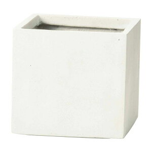 Aؔ  FV/T[vXNGASW/GF5220y01z K[fjOE|pi t[|bg OXt@Co[