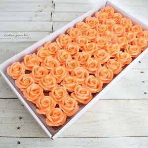 yΖӃZ[zGracias/\[vt[wbh[YM }` IW 50/F-259y01z vU[uht[ tOX\[vt[ \[vt[ԍ