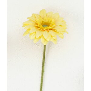 �y���ԁz�{�u�N���t�g/�^�C�j�[�K�[�x/25002Y�y01�z[3��] ���ԁi�A�[�e�B�t�B�V�����t�����[�j �K�[�x�� �t�F�C�N�t�����[ �V���N�t�����[ �C���e���A �ԍ� ���� �f�B�X�v���C ���� �A�����W