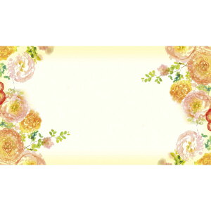 fUCJ[hS 50 KUCA|S 40/817-497537-0y01z bsOpi A bZ[WJ[h O[eBOJ[h