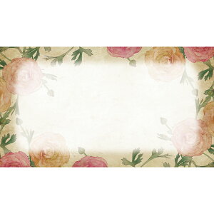 fUCJ[hS 50 KUCA|S 99/817-519536-0y01z bsOpi A bZ[WJ[h O[eBOJ[h