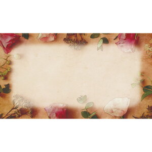 fUCJ[hS 50 KUCA|S101/817-523557-0y01z bsOpi A bZ[WJ[h O[eBOJ[h