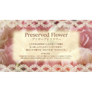 vU[uht[J[h 50 KUCA|S 33/817-485497-0y01z bsOpi A bZ[WJ[h CXgNVJ[hEV[