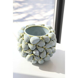 Aؔ  RxgK[f/neulo tFCWA[|bg/QA-44y07z K[fjOE|pi t[|bg EZ~bN