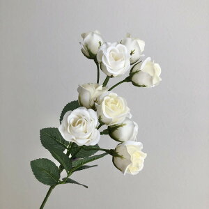 yԁzAXJ/~j[Y×10 zCg/A-35139-1y01z ԁiA[eBtBVt[j  ԍށu͍sv o