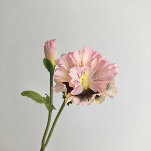 yԁzAXJ/pW[×1 ڂ×1 sNCG[/A-35040-3Yy01z ԁiA[eBtBVt[j  ԍށu͍sv pW[