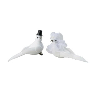 Paseo/yANbv(2Hj/63-13y01z[2] ԎށEt[Xg fR[Vp[cEf ʂ/l`