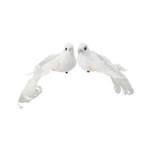 Paseo/̃Nbv(4Hj/63-14y01z[2] ԎށEt[Xg fR[Vp[cEf ʂ/l`