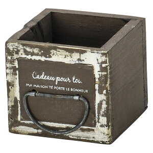 Paseo/~jЂv^[i3j/WF-81-10BRy01z[3] ԊA[X ԊEԕr ؐԊ