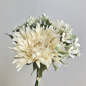 yԁzroH|/VT|2154 K[xMIXoh WH/CR/VT-2154y01z ԁiA[eBtBVt[j  ԍށusv K[x