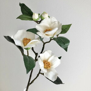 yԁzroH|/VT|R303 NEWcoLu` WH/VT-R303y01z ԁiA[eBtBVt[j  ԍށusv coLiցj