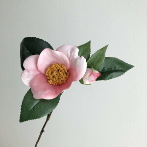 yԁzroH|/VT|R304 NEWV[gcoL PI/VT-R304y01z ԁiA[eBtBVt[j  ԍށusv coLiցj