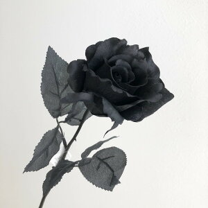 yԁzroH|/VE-6722 j[GU[Y BK/VE-6722y01z ԁiA[eBtBVt[j  ԍށu͍sv o