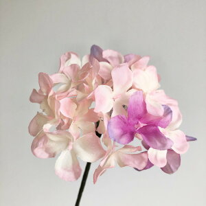 yԁzroH|/VE-6770 j[nCh 2T/PI/VE-6770y01z ԁiA[eBtBVt[j  ԍށusv izԁj