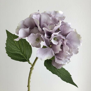 yԁzroH|/VD-6774 nChW LI/VD-6774y01z ԁiA[eBtBVt[j  ԍށusv izԁj