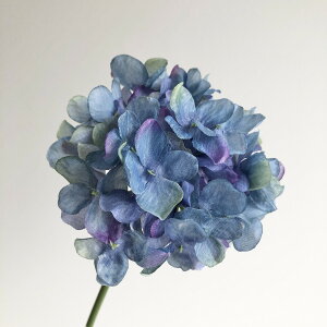 yԁzroH|/VE-6827 nChW DK/BL/VE-6827y01z ԁiA[eBtBVt[j  ԍށusv izԁj