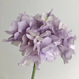 yԁzroH|/VE-6827 nChW LA/VE-6827y01z ԁiA[eBtBVt[j  ԍށusv izԁj