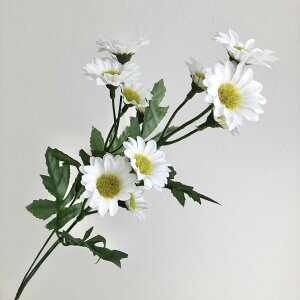 yԁzroH|/VF-6836 e WH/VF-6836y01z ԁiA[eBtBVt[j  ԍށusv LNiejEs|}