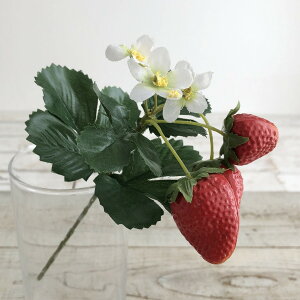 yԁzroH|/Xgx[sbN/VEG-5695y01z ԁiA[eBtBVt[j ԎAtFCNt[c EXgx[