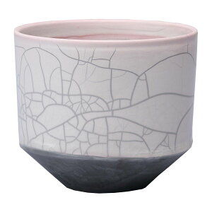 ~[~/_--CgsNL/MJ-020LLPy01z K[fjOE|pi AؔEt[|bg EZ~bN