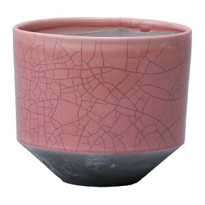 Aؔ  ~[~/_--sNL/MJ-020LPiy01z K[fjOE|pi t[|bg EZ~bN