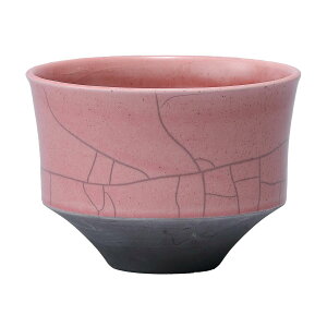 Aؔ  ~[~/_--sNSS/MJ-020TPiy01z[4] K[fjOE|pi t[|bg EZ~bN